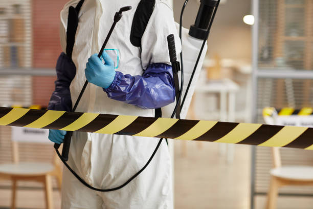 Professional Sewage Cleanup technician working in Belle Glade, FL